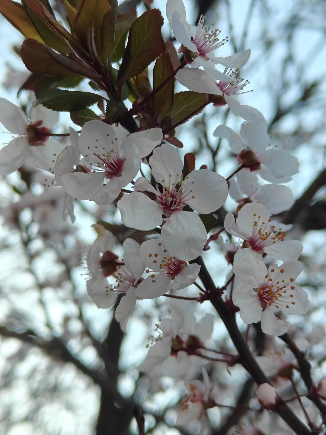 🎥电影《不说话的爱》超前观影