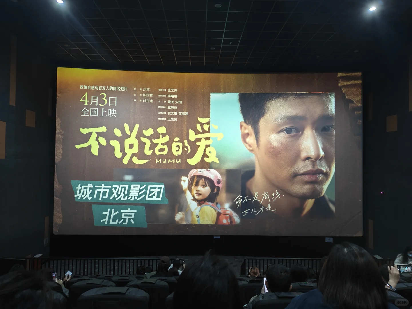 🎥电影《不说话的爱》超前观影