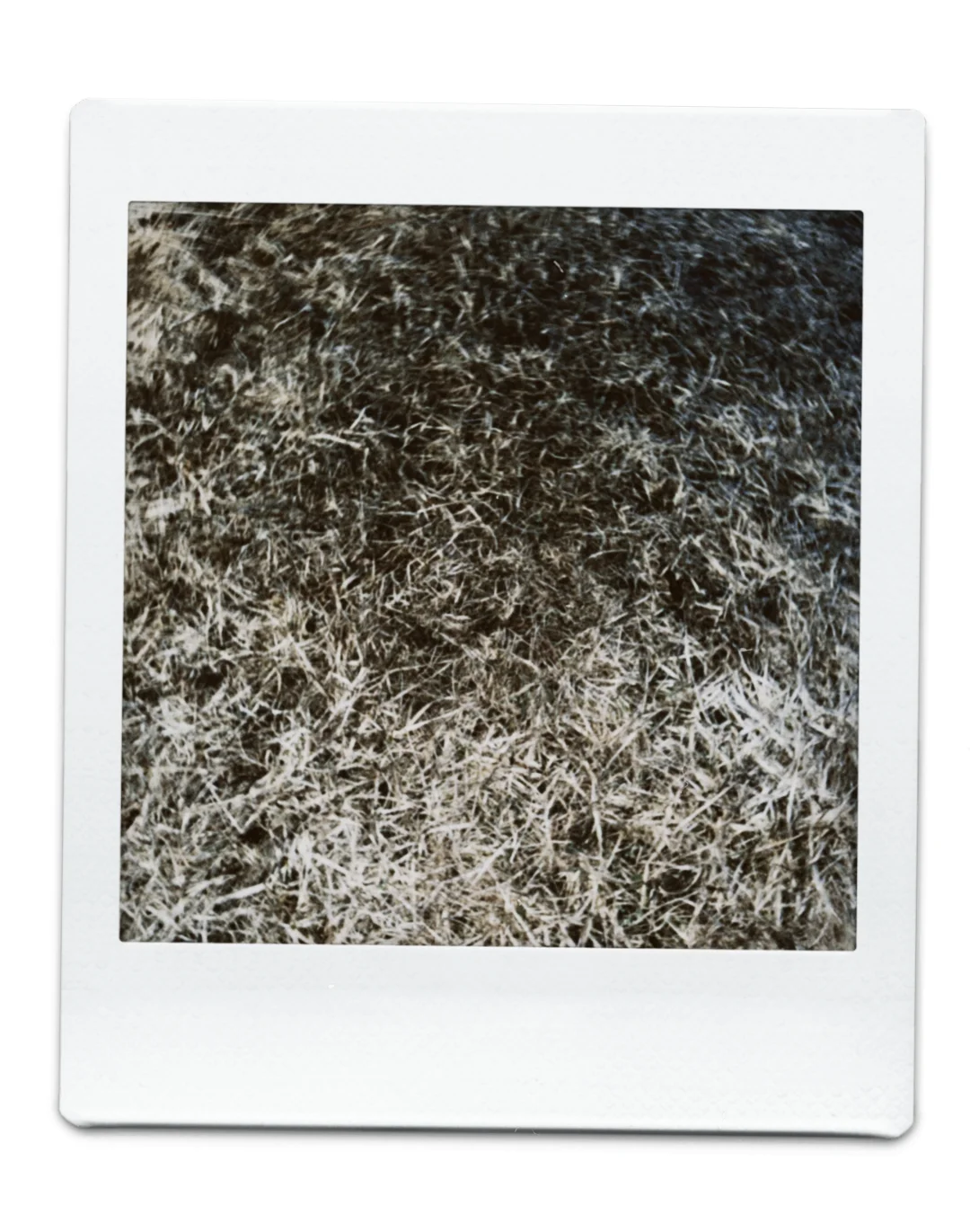 Dazz Cam真的很好用