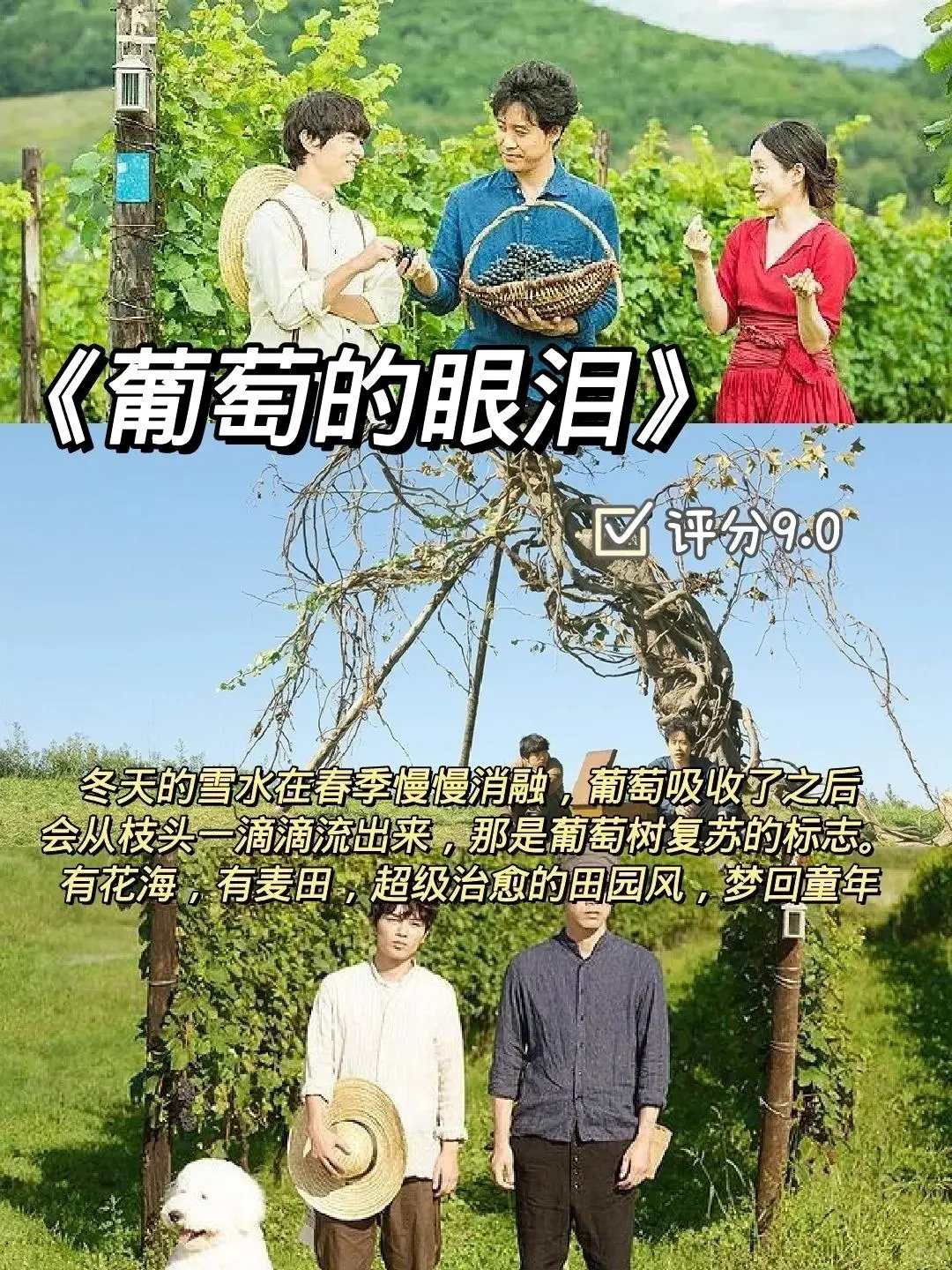 十部电影推荐