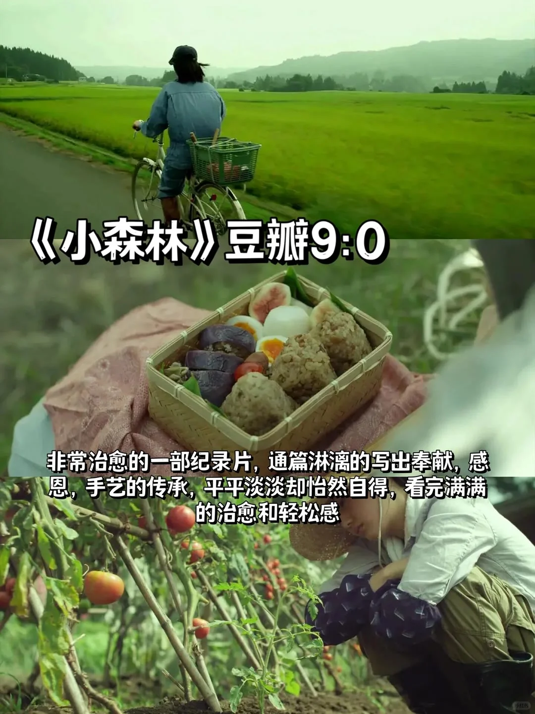 治愈的电影推荐