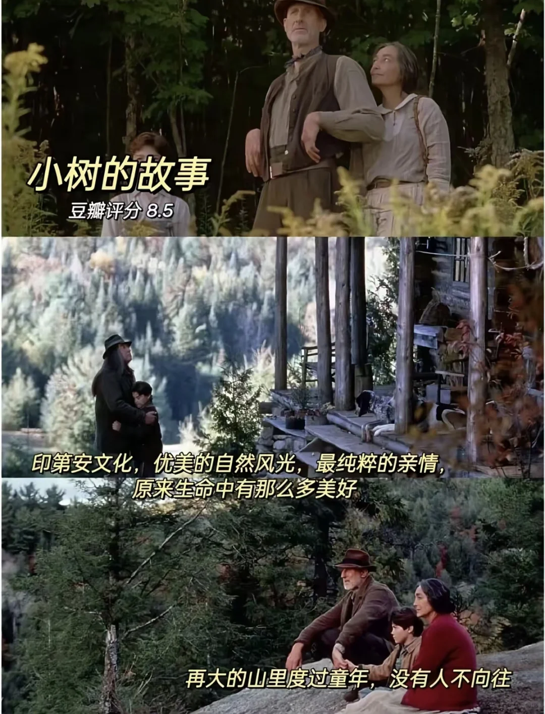 感谢这10部电影疗愈了我的精神内耗