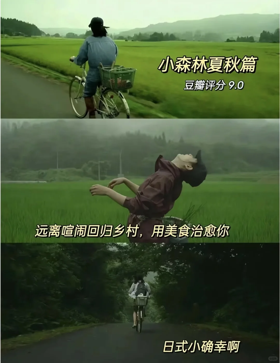 感谢这10部电影疗愈了我的精神内耗