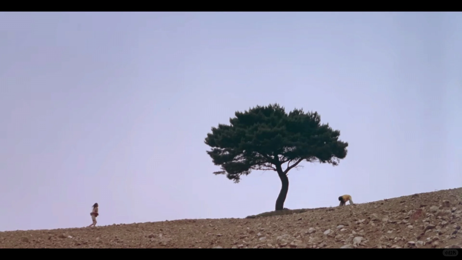 24年前的电影真好看