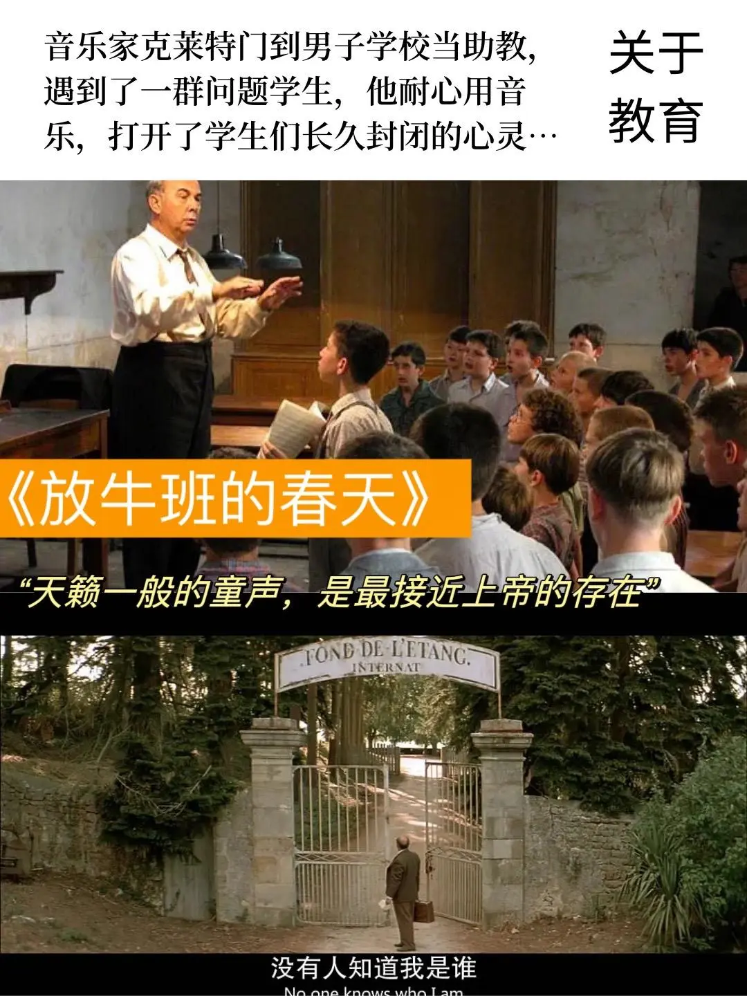 一辈子必须看一次足以改变人生观的好片