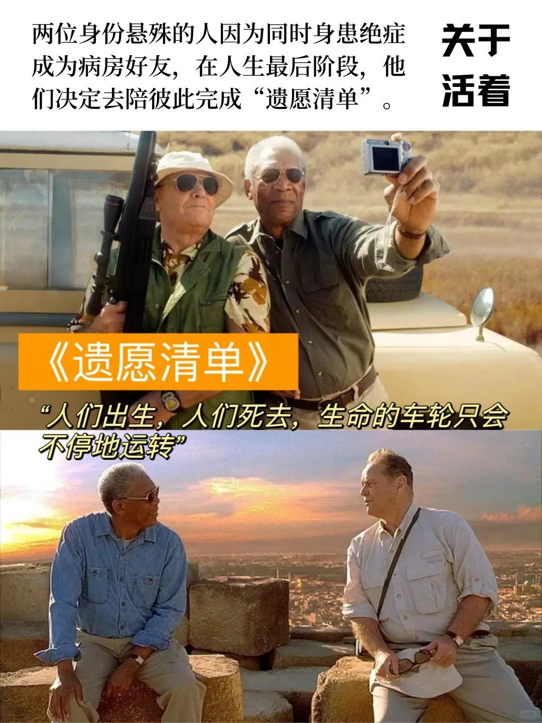 一辈子必须看一次足以改变人生观的好片