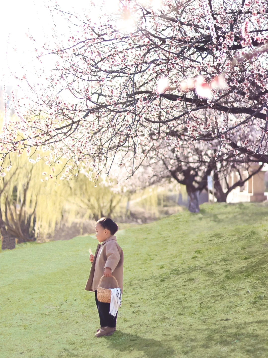 简单两步get绿草地 | 手机也可以，超简单！