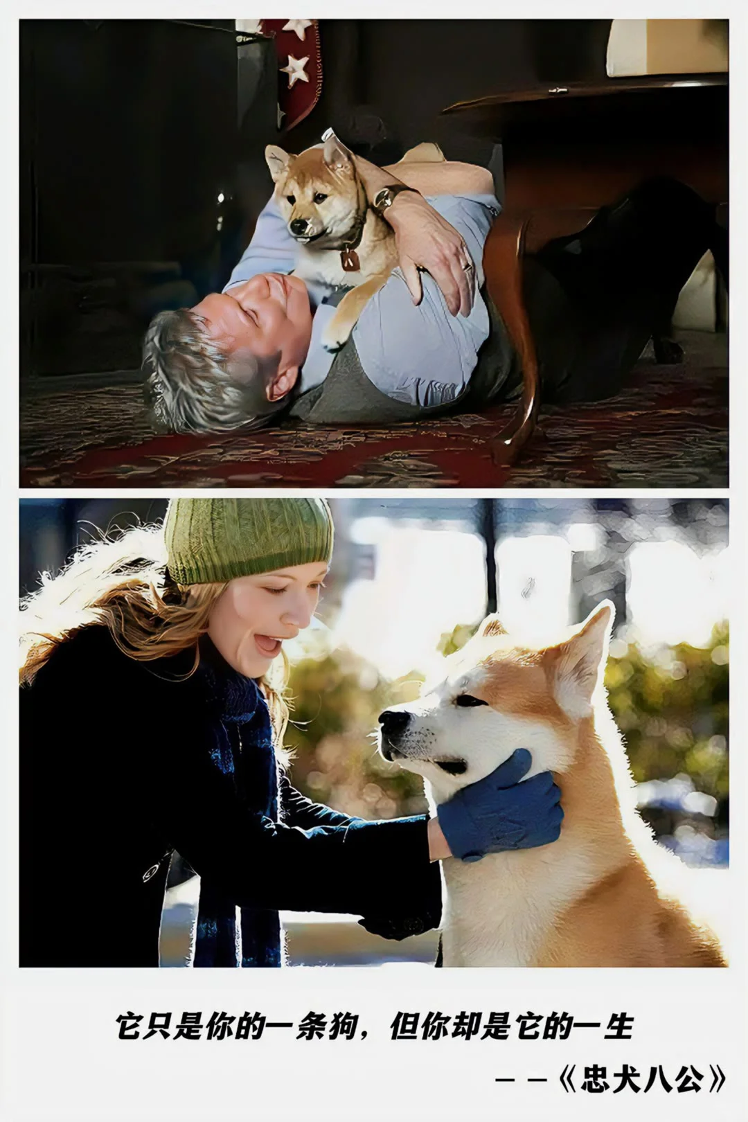 那些人生必看的十部电影