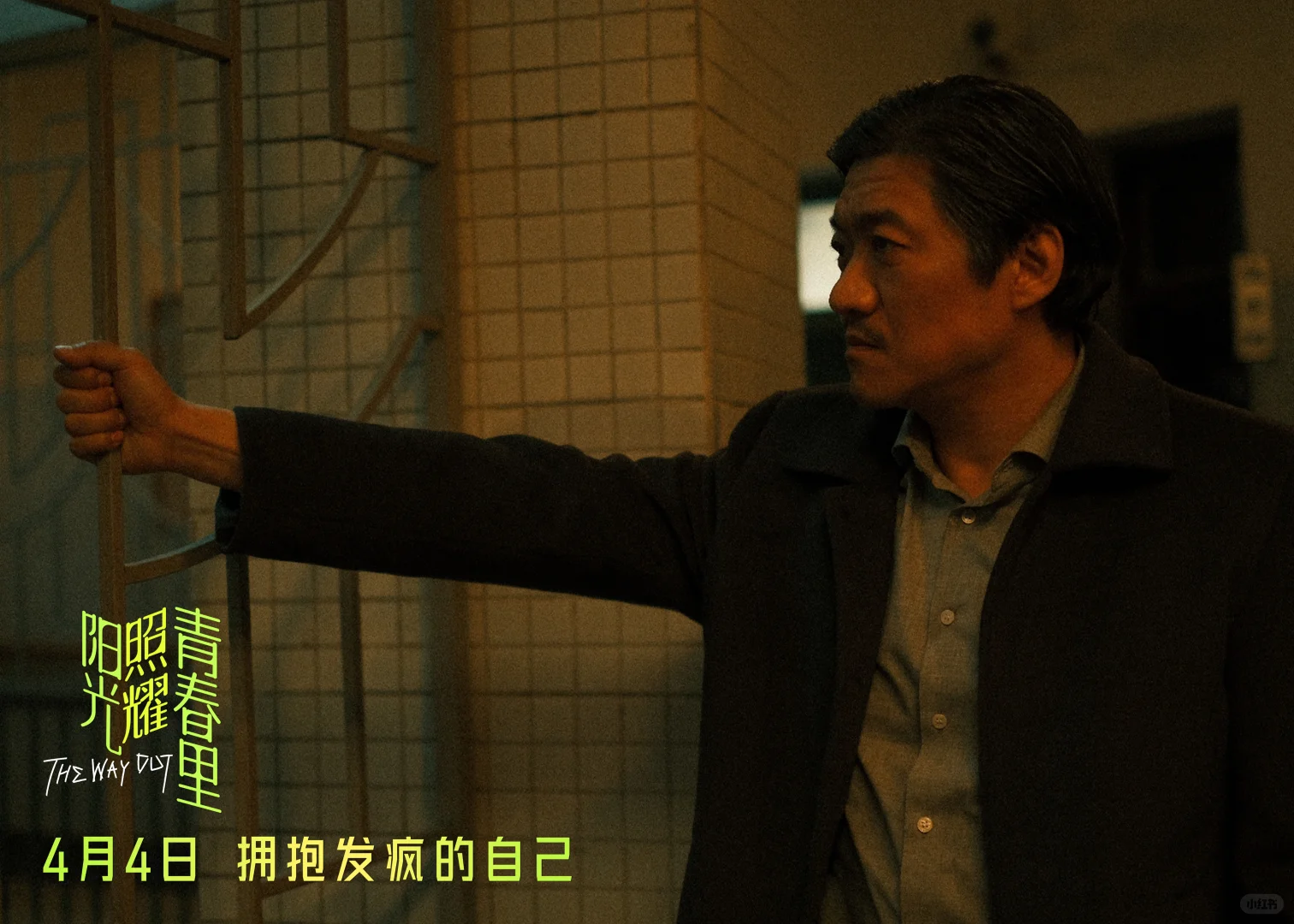 速看！《阳光照耀青春里》预售开启