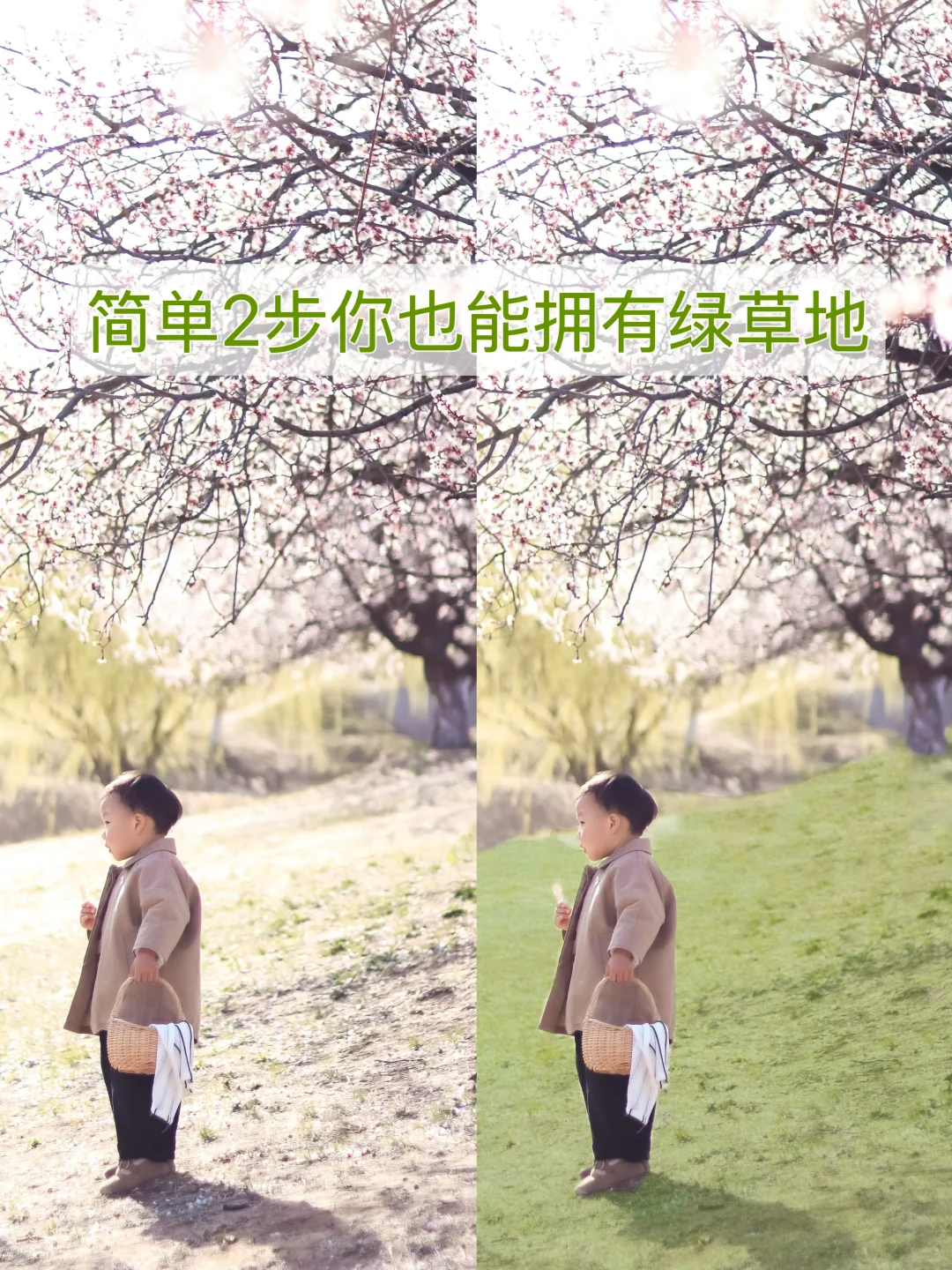 简单两步get绿草地 | 手机也可以，超简单！