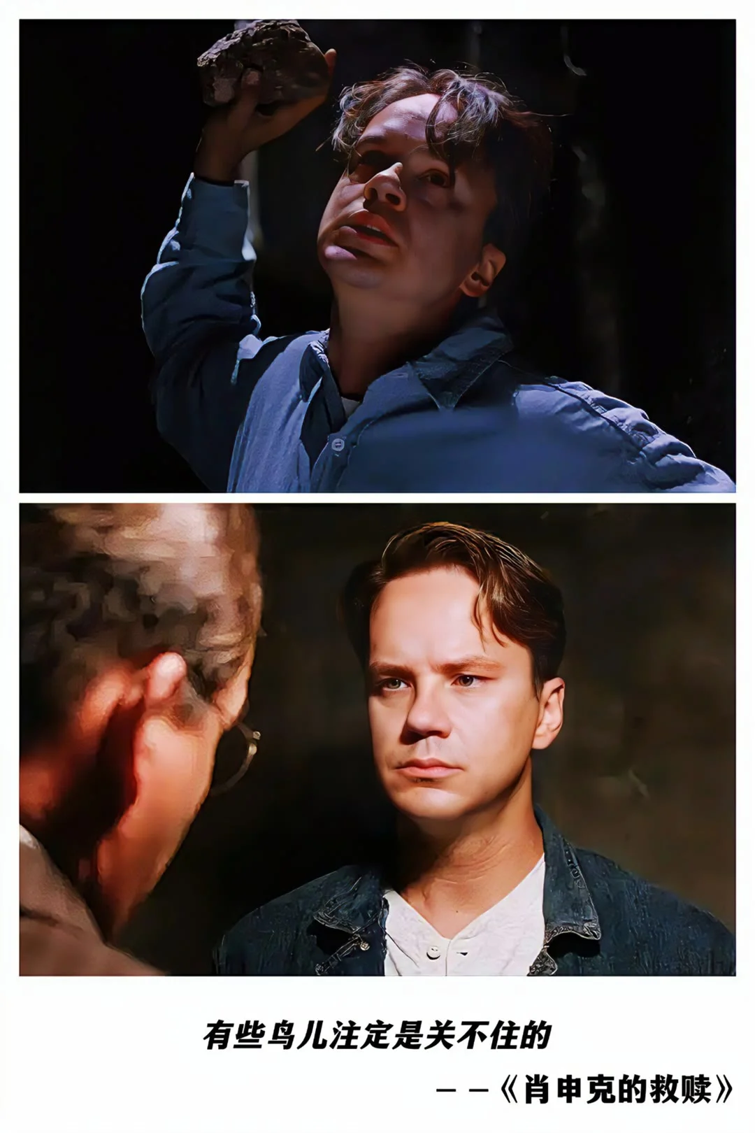 那些人生必看的十部电影