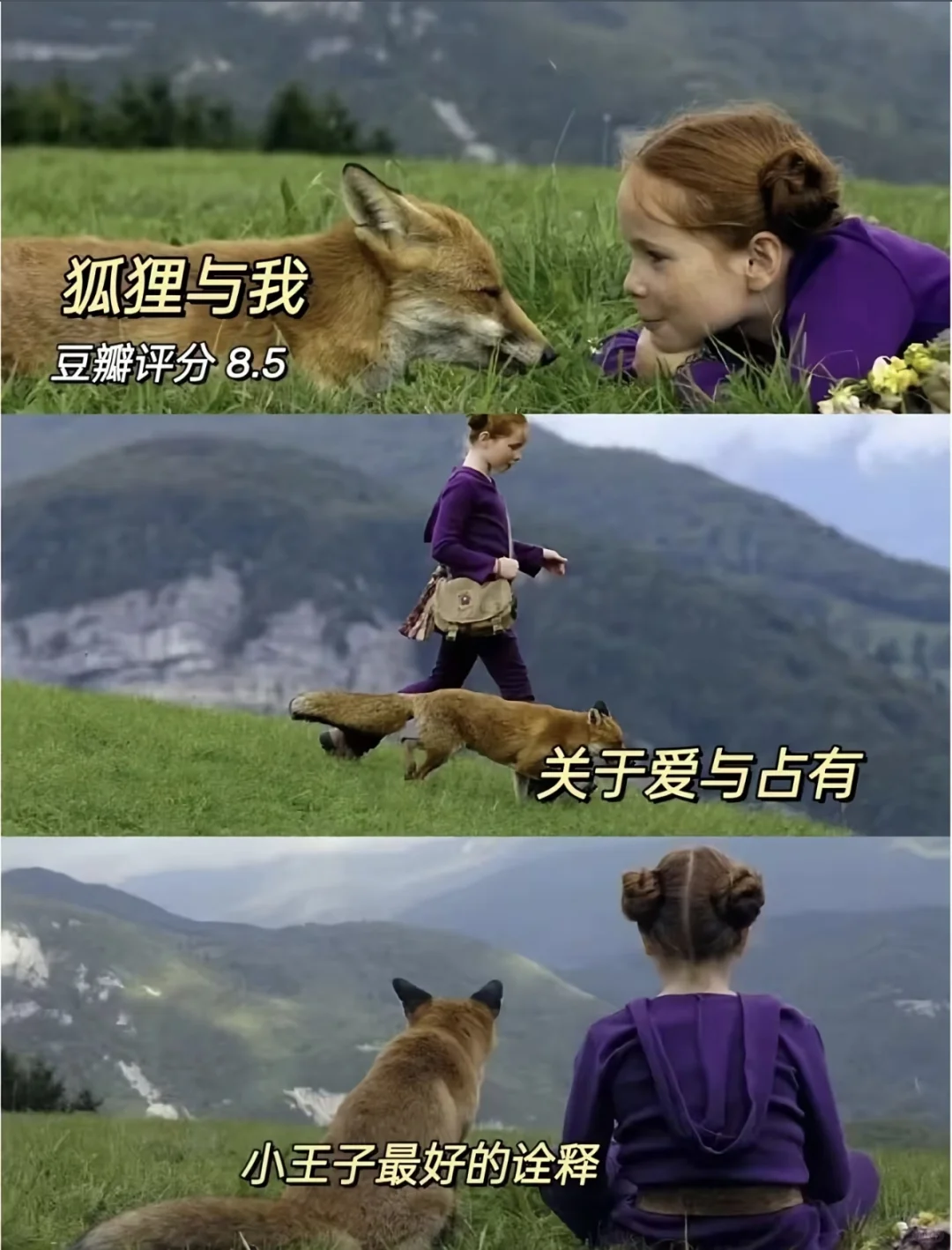 感谢这10部电影疗愈了我的精神内耗