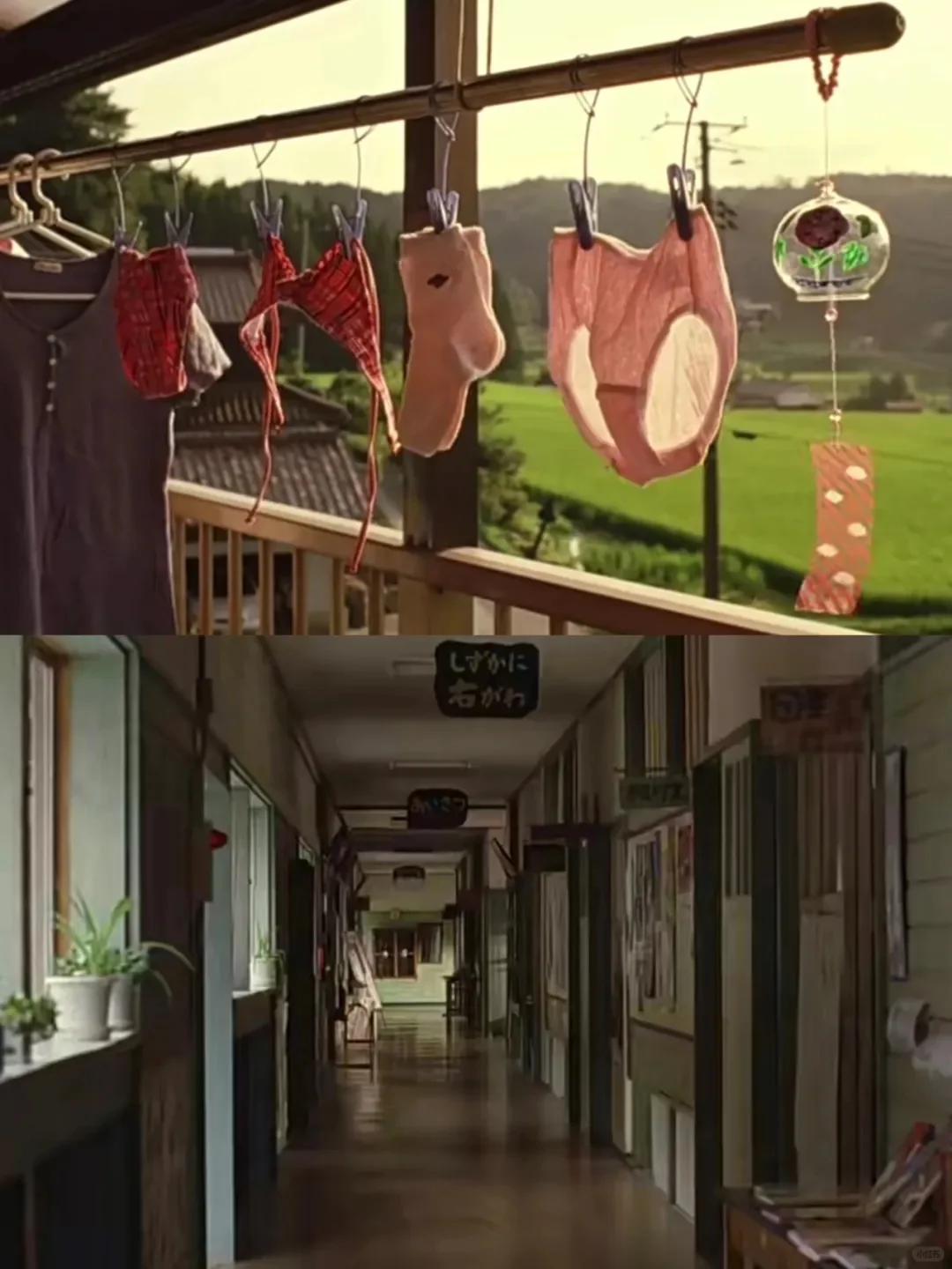 近期最喜爱的电影😭没有之一❗❗❗