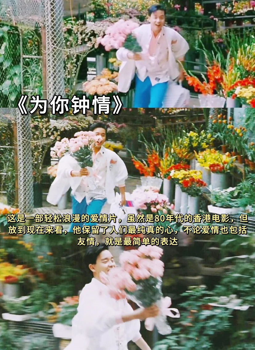 🍃春日影单 | 把春天装进屏幕