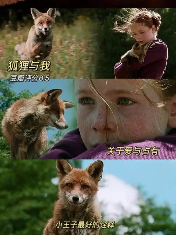 治愈的十部电影推荐