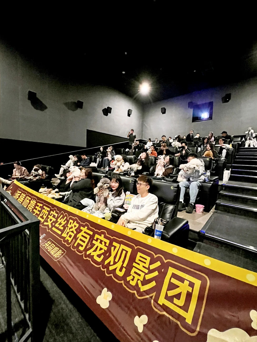 带狗狗看电影什么体验