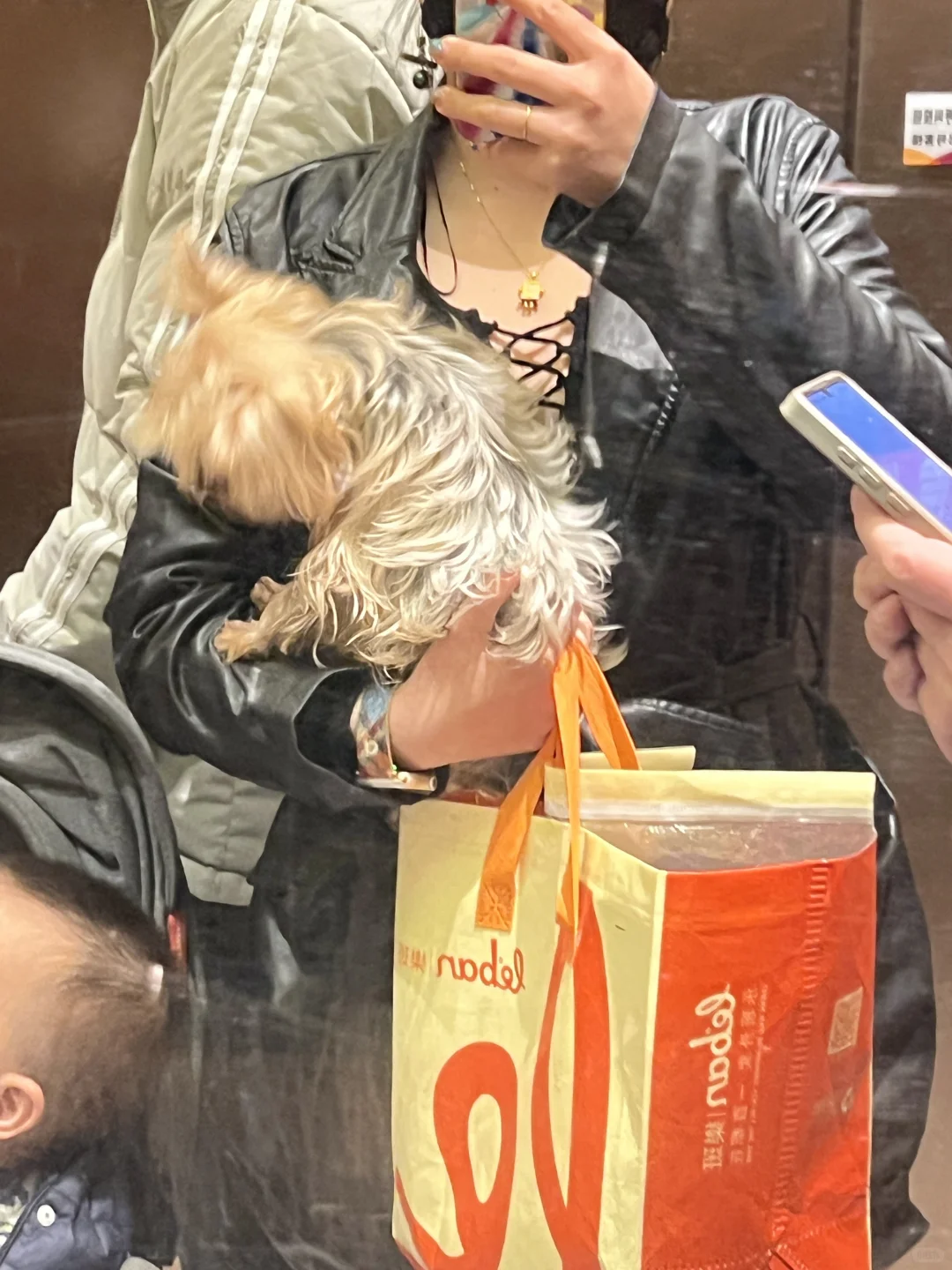 带狗狗看电影什么体验