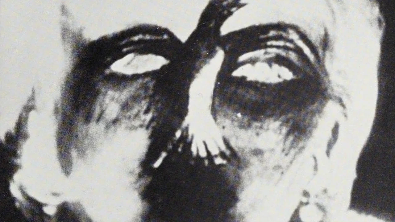 新达达主义电影片单