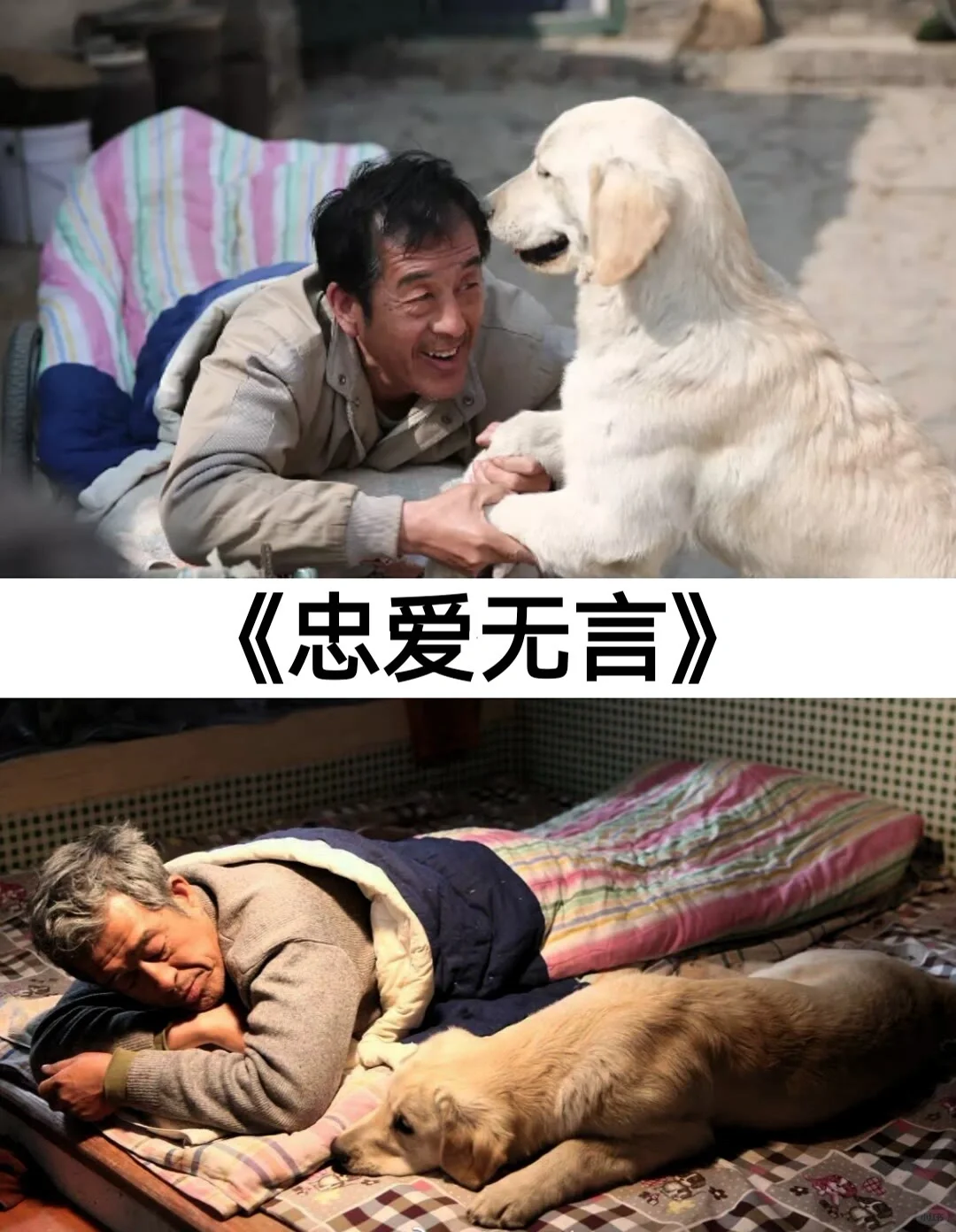 30部虐心又催泪的电影上集