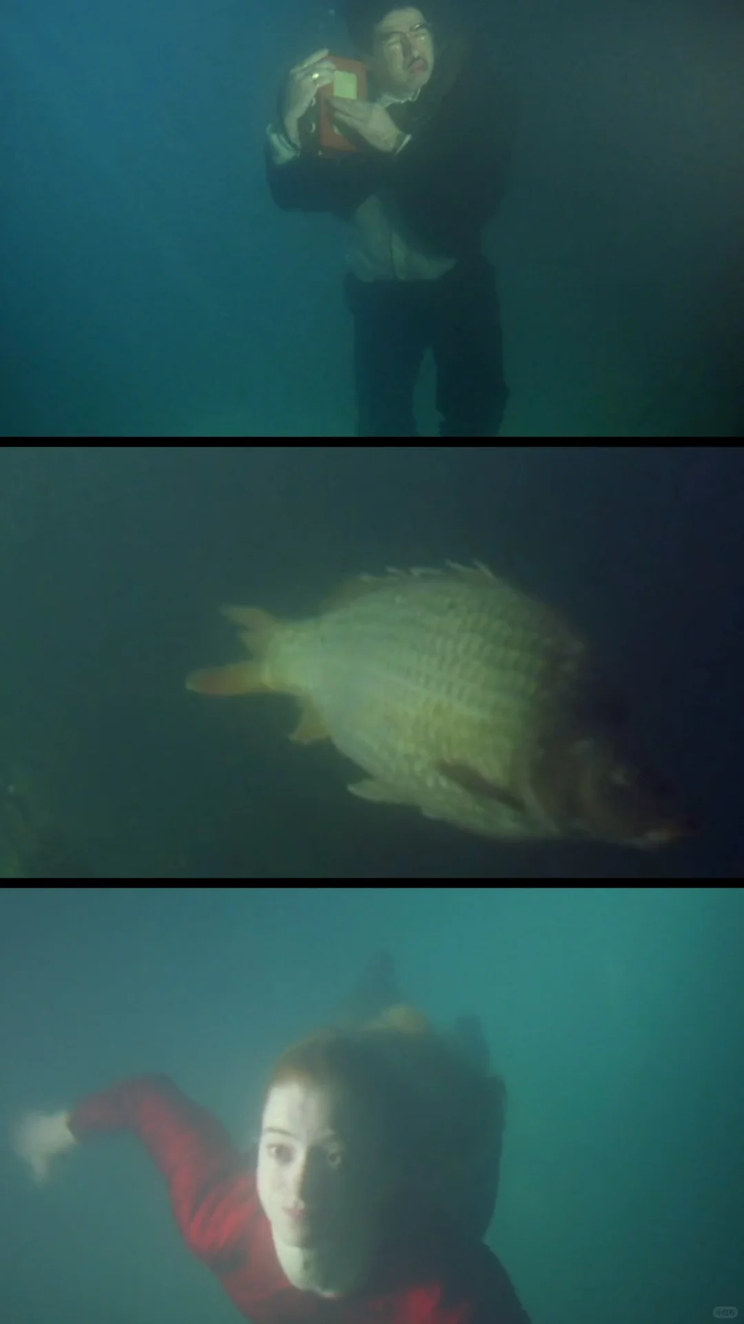 地下：比电影更荒诞的是历史