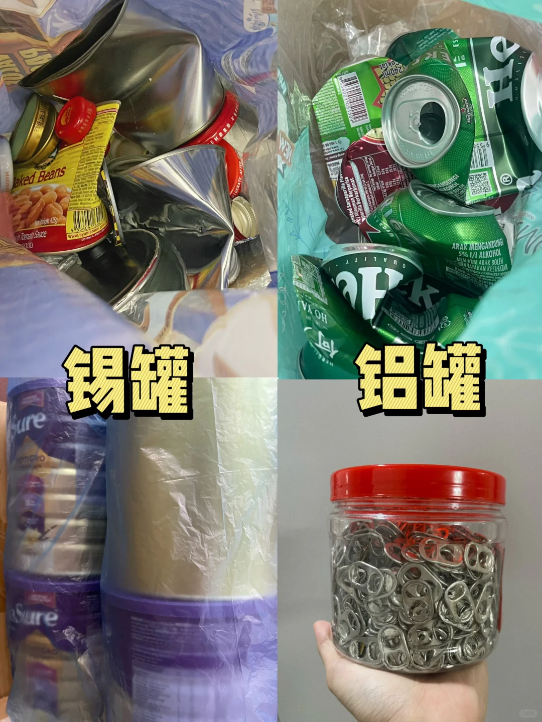 🇲🇾| 用了这个APP后, Recycle真的好简单♻️