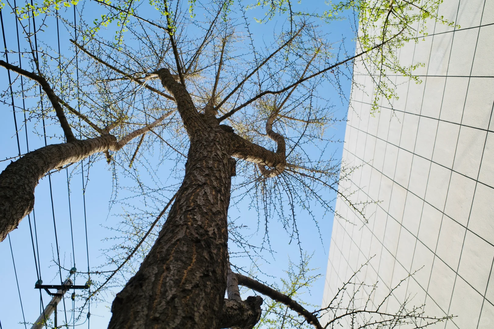看电影真幸福！