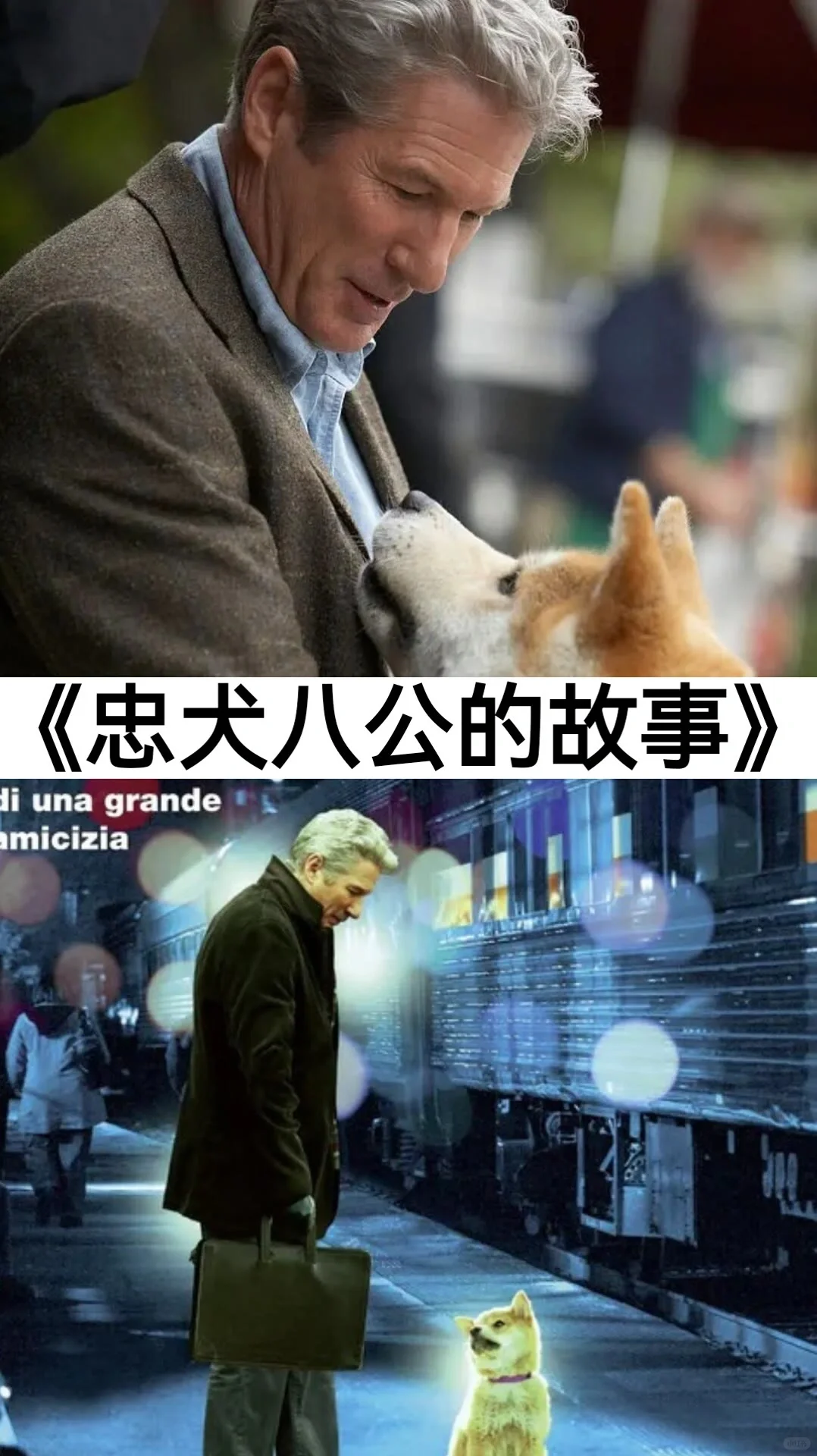 30部虐心又催泪的电影上集