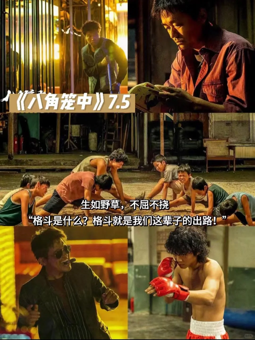 10部让你哭成狗的电影