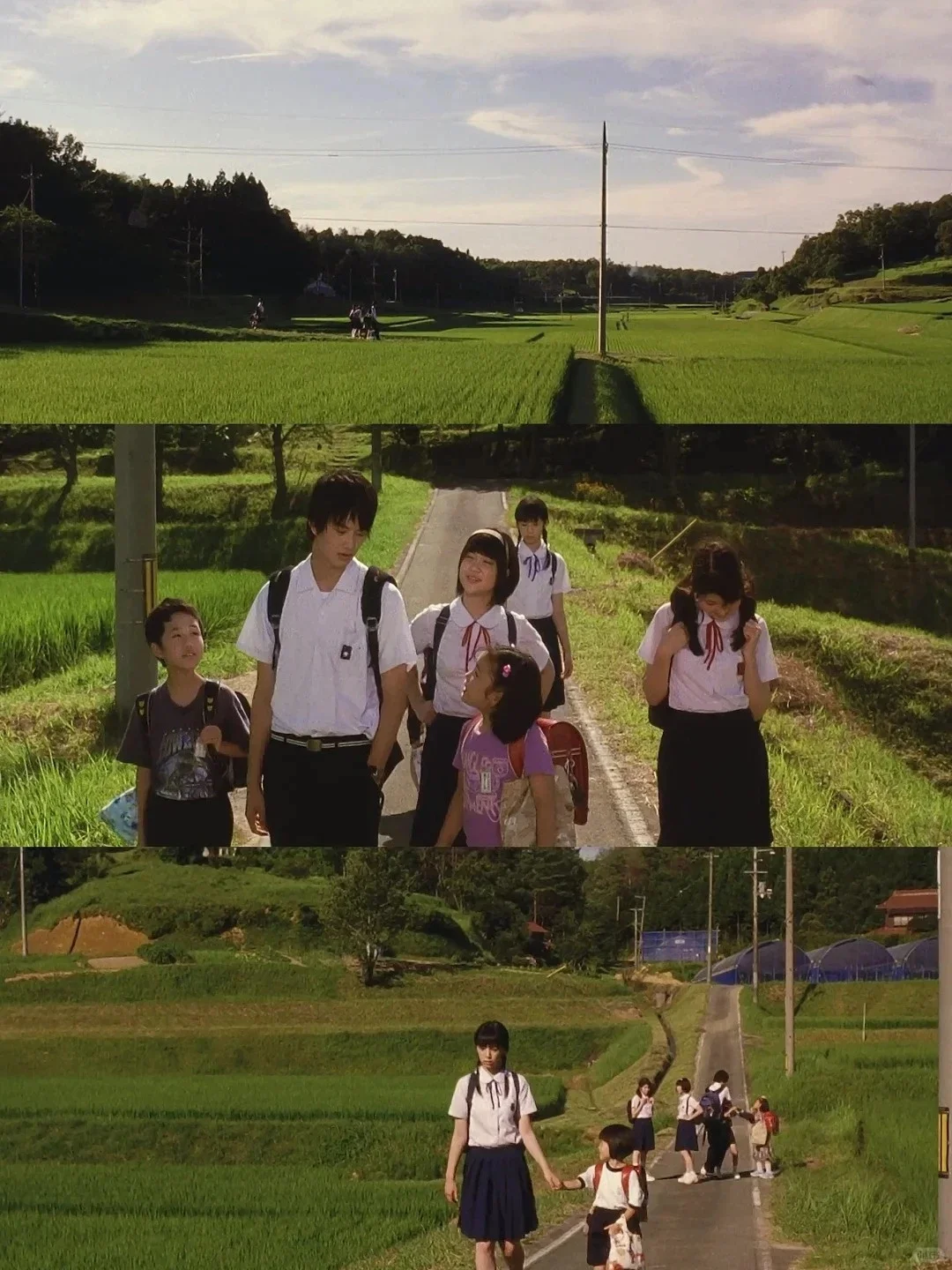 近期最喜爱的电影😭没有之一❗❗❗