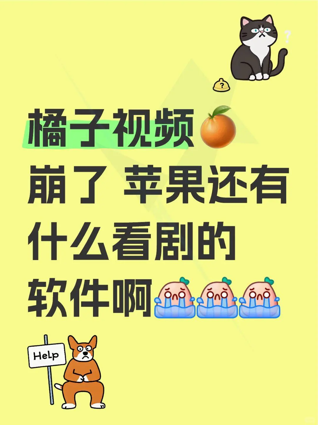 苹果用户必看！超好用追剧软件推荐🍏✨