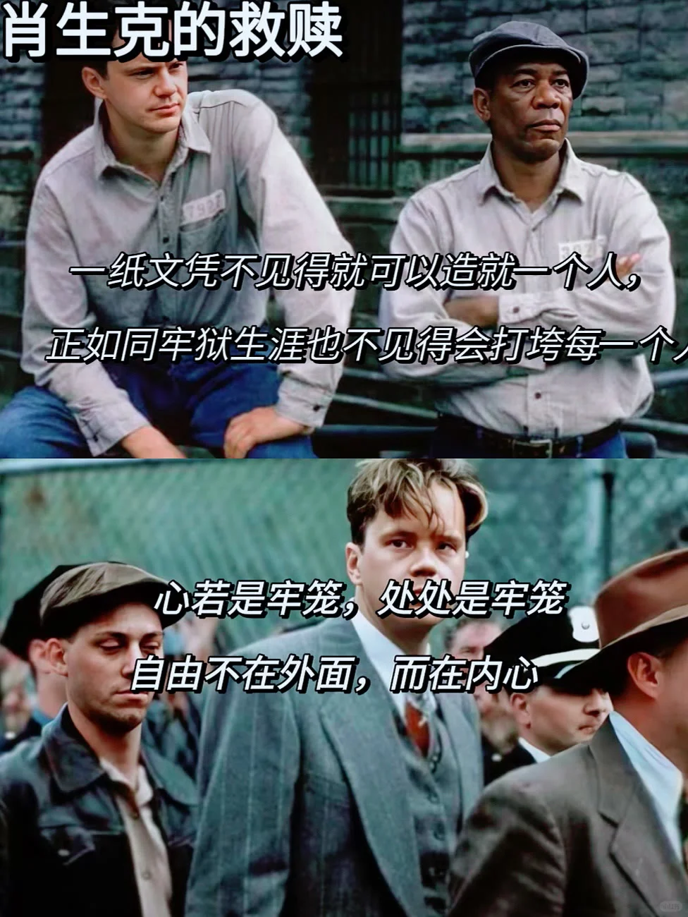 电影教会我们很多每一部电影都是一部人生