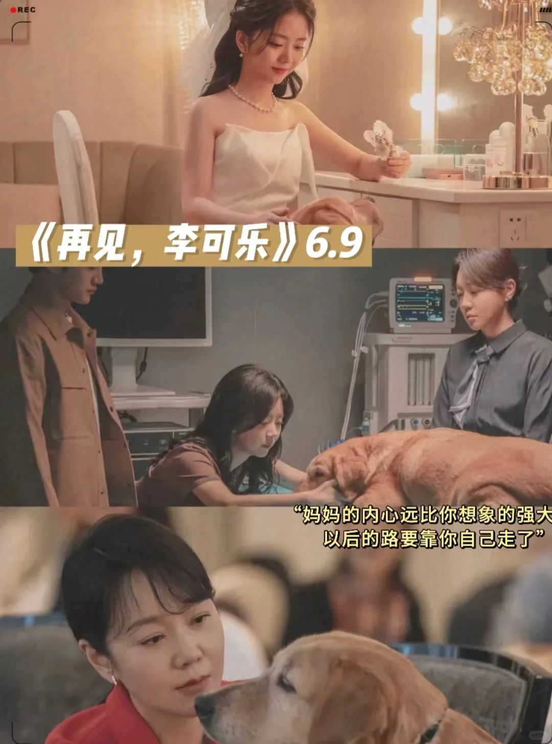 10部让你哭成狗的电影