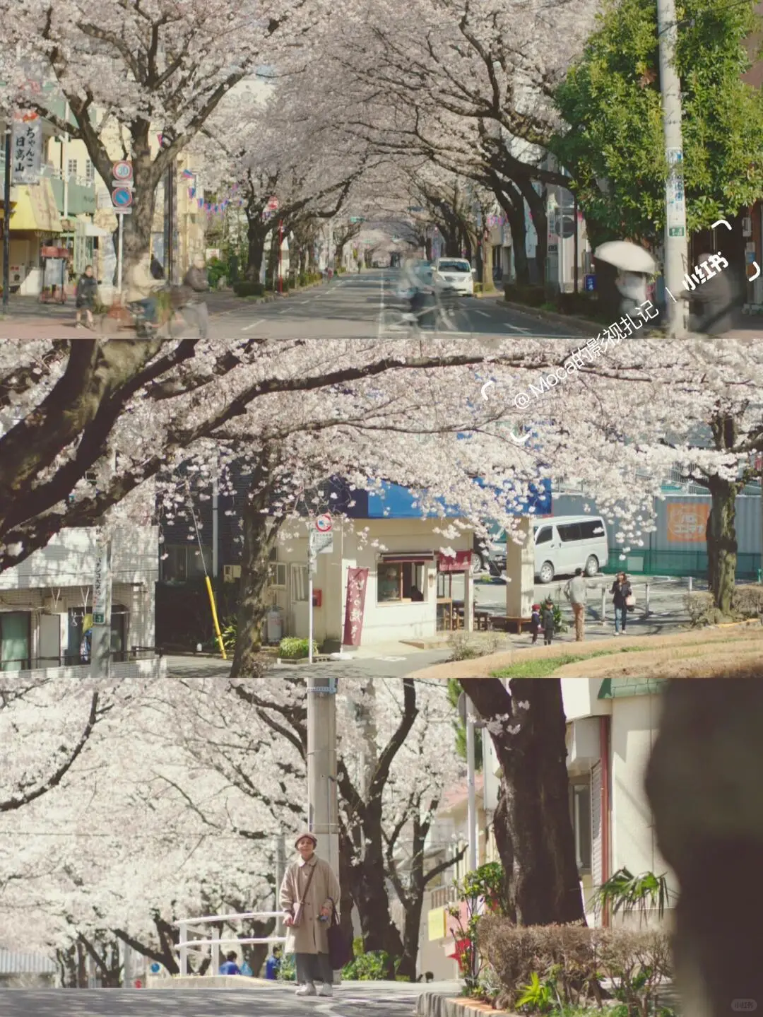 爆哭😭今年看过最好看的电影，没有之一！！！