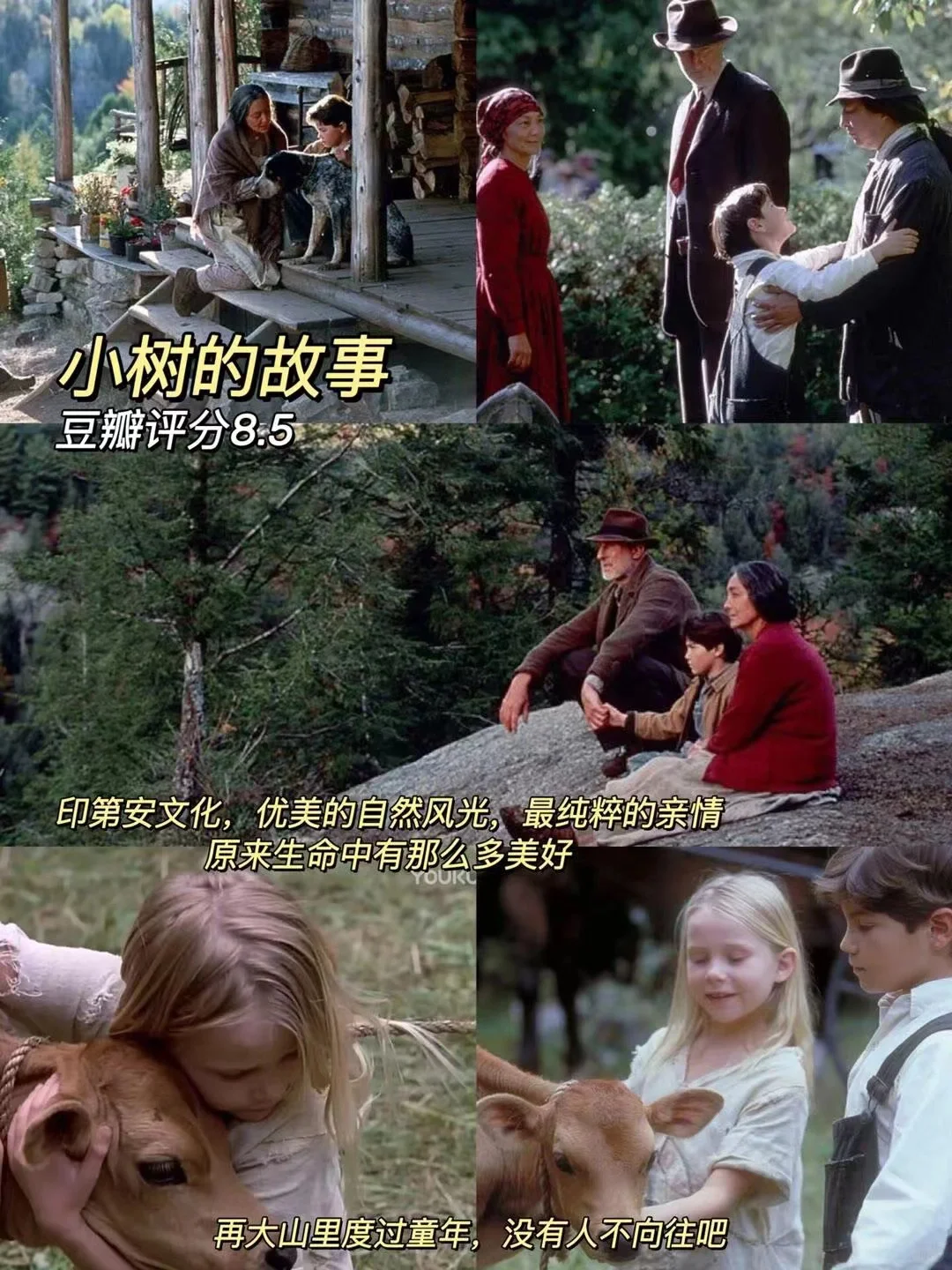 治愈的十部电影推荐