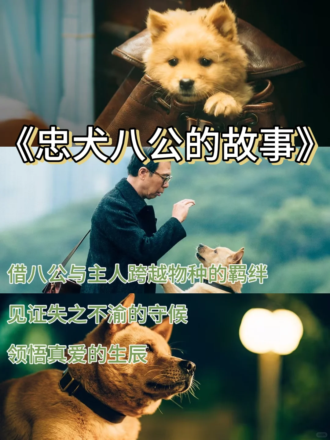 天呐❗看完这10部电影，格局打开了🌺