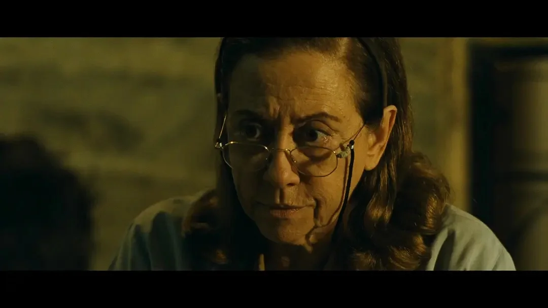 奥斯卡最佳《我仍在此》国内引进上映