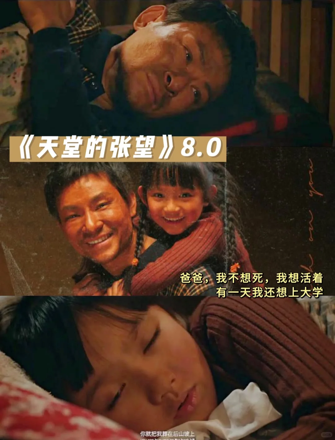 10部让你哭成狗的电影