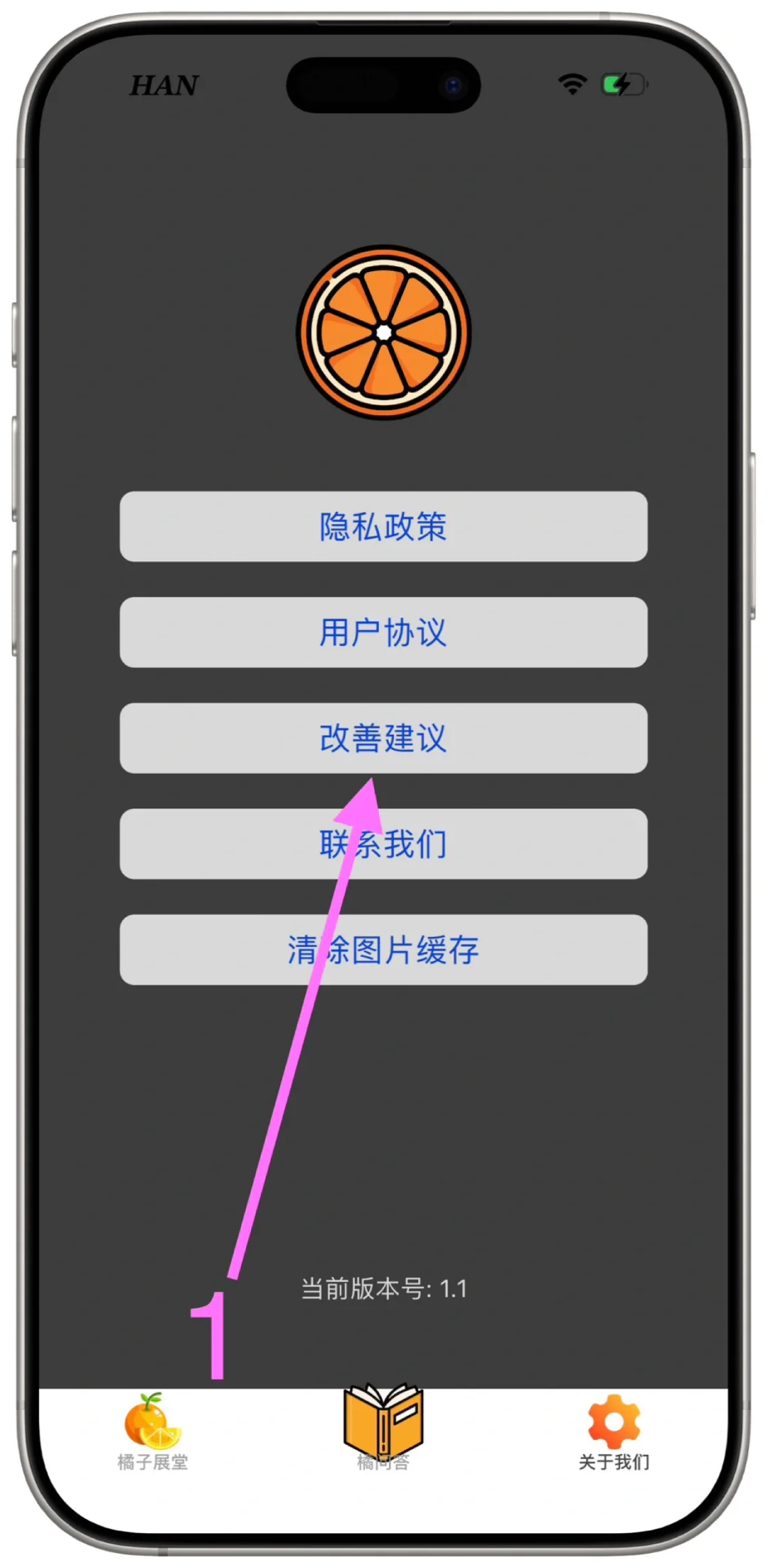 谁懂啊！🍊橘子终于来啦！拒绝再当“橘外人”