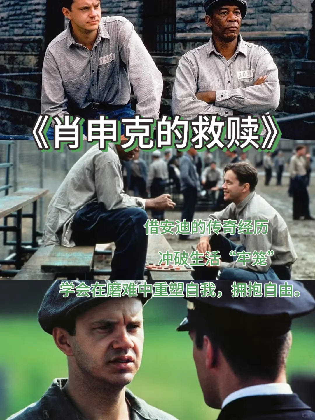 天呐❗看完这10部电影，格局打开了🌺