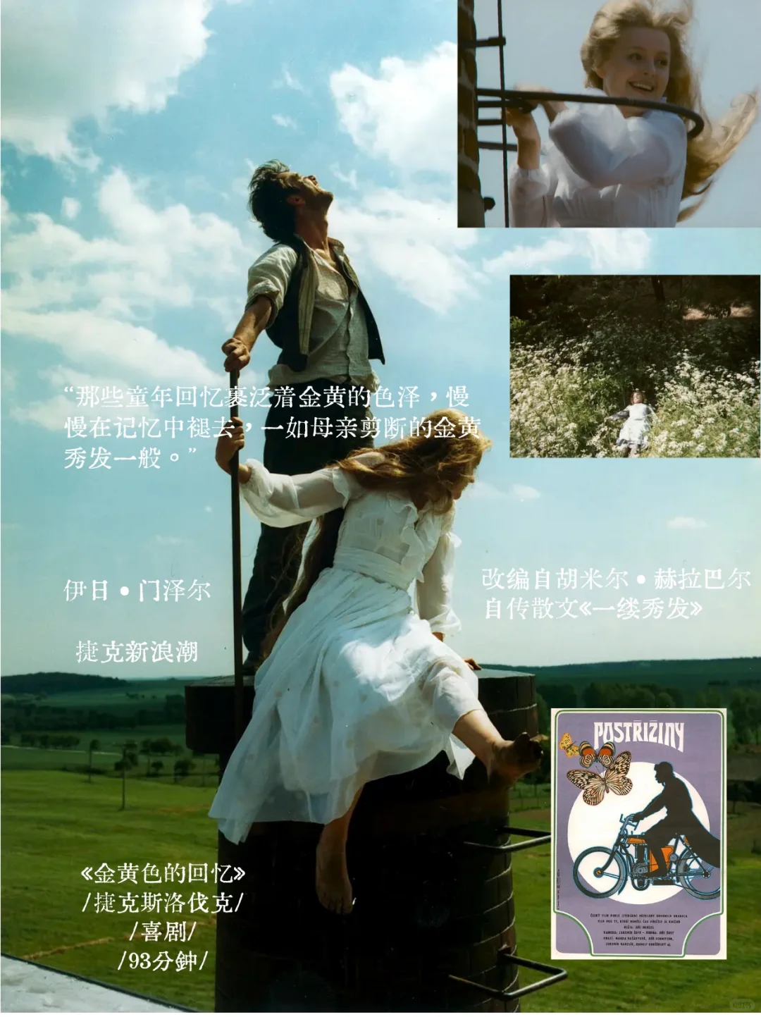 📽️ 春日影单｜在电影里种一株永不凋零的花