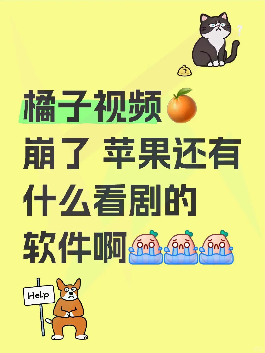 苹果看剧软件推荐！追剧必备，弹幕互动超