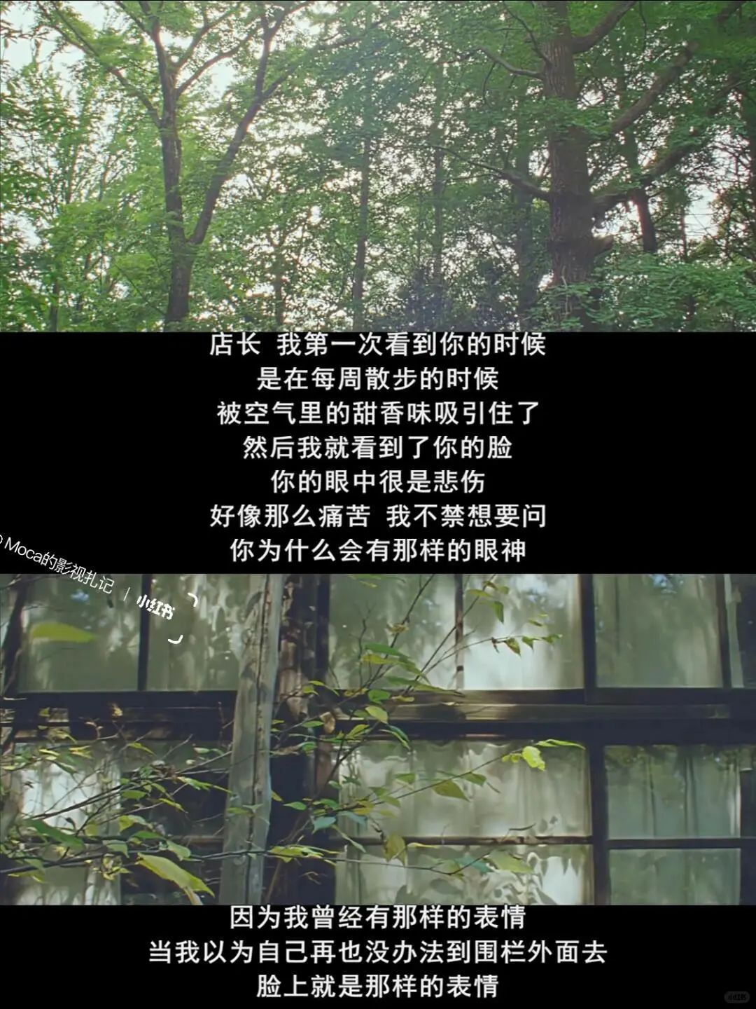 爆哭😭今年看过最好看的电影，没有之一！！！