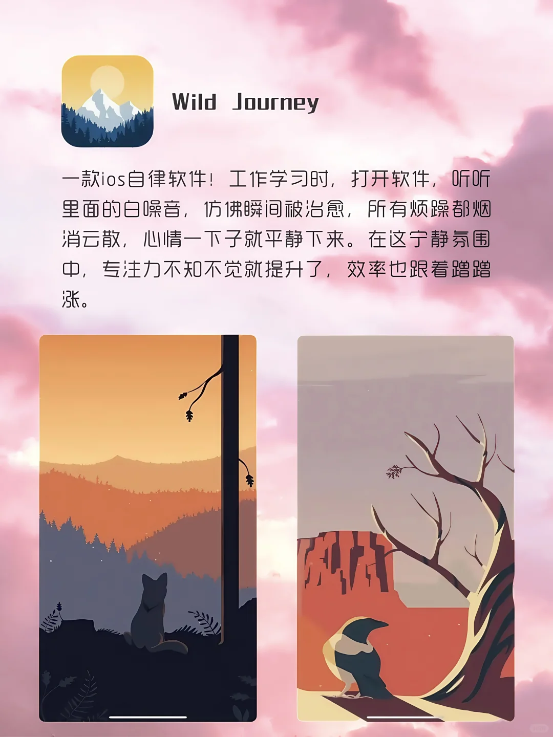 6 个神器 app！女生直接抄作业📱