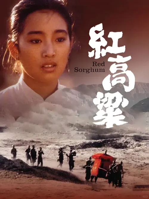 🎬书粉狂喜！经典文学改编电影大盘点✨