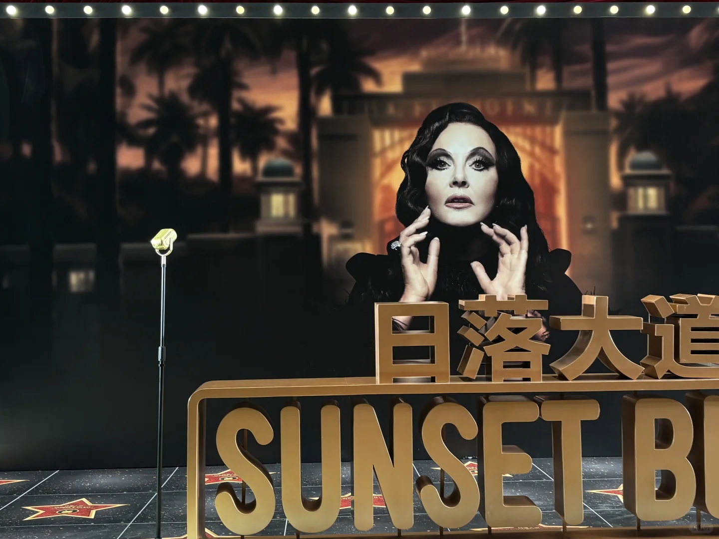 雨中曲+日落大道