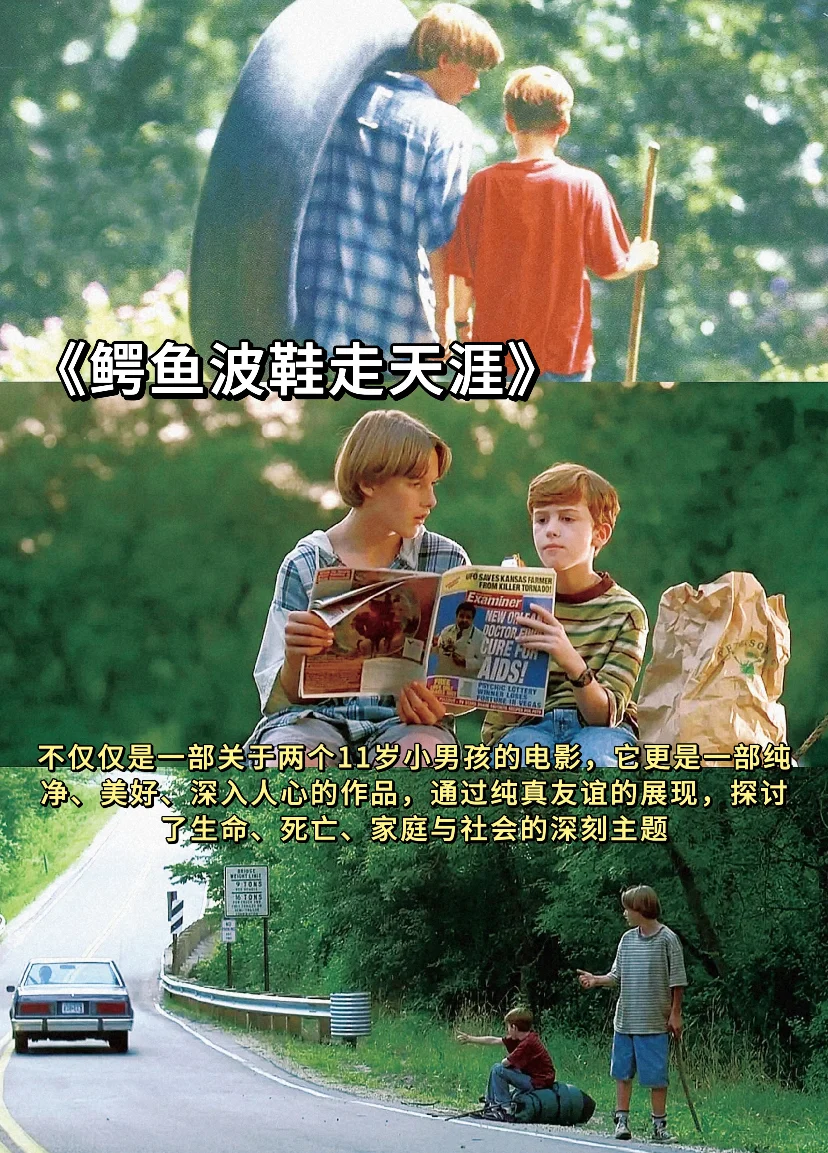 🍃春日影单 | 把春天装进屏幕