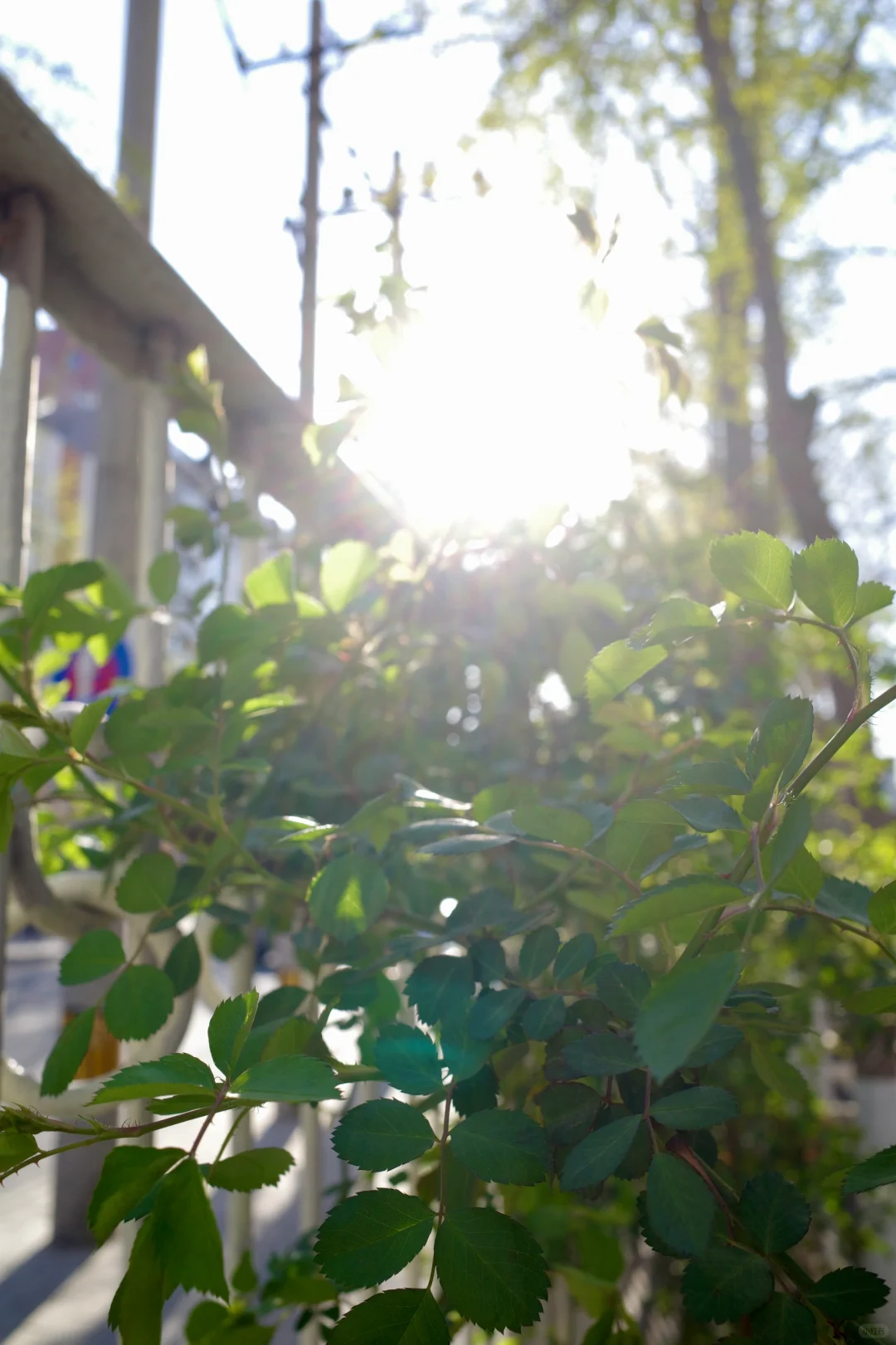 看电影真幸福！