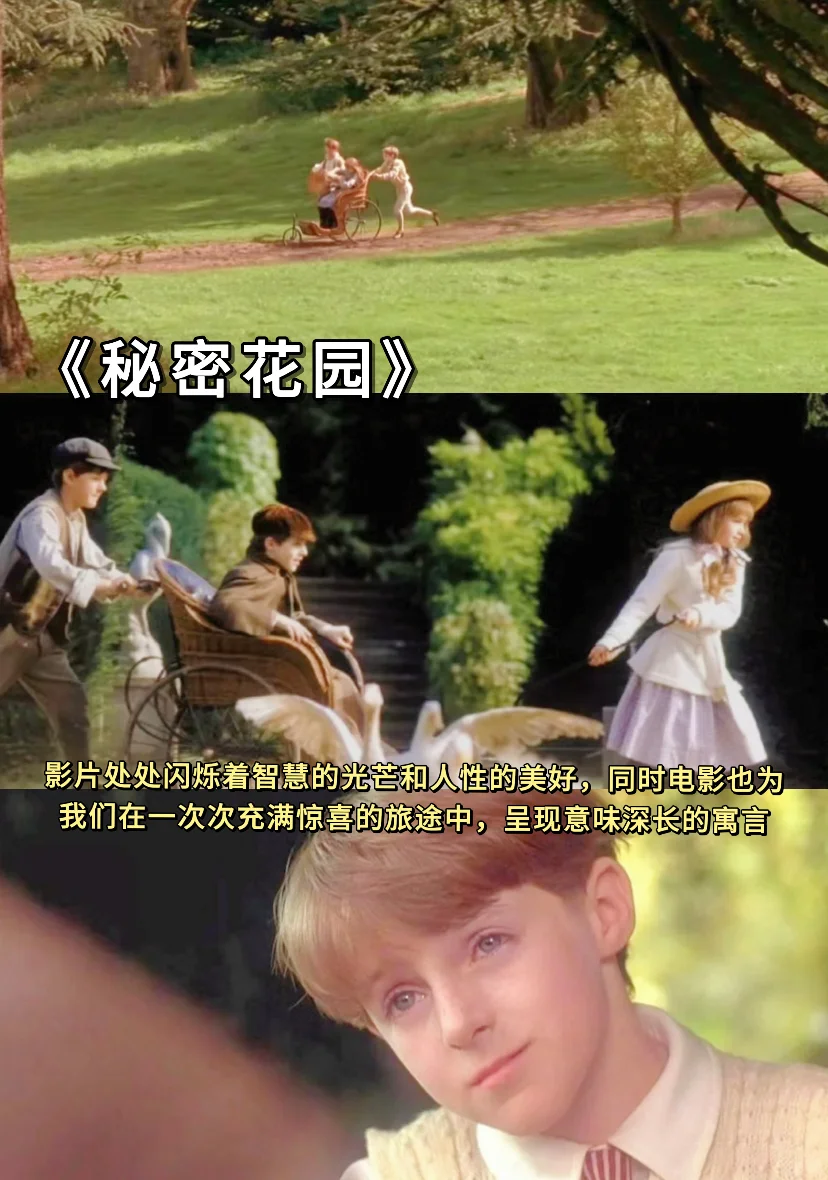 🍃春日影单 | 把春天装进屏幕