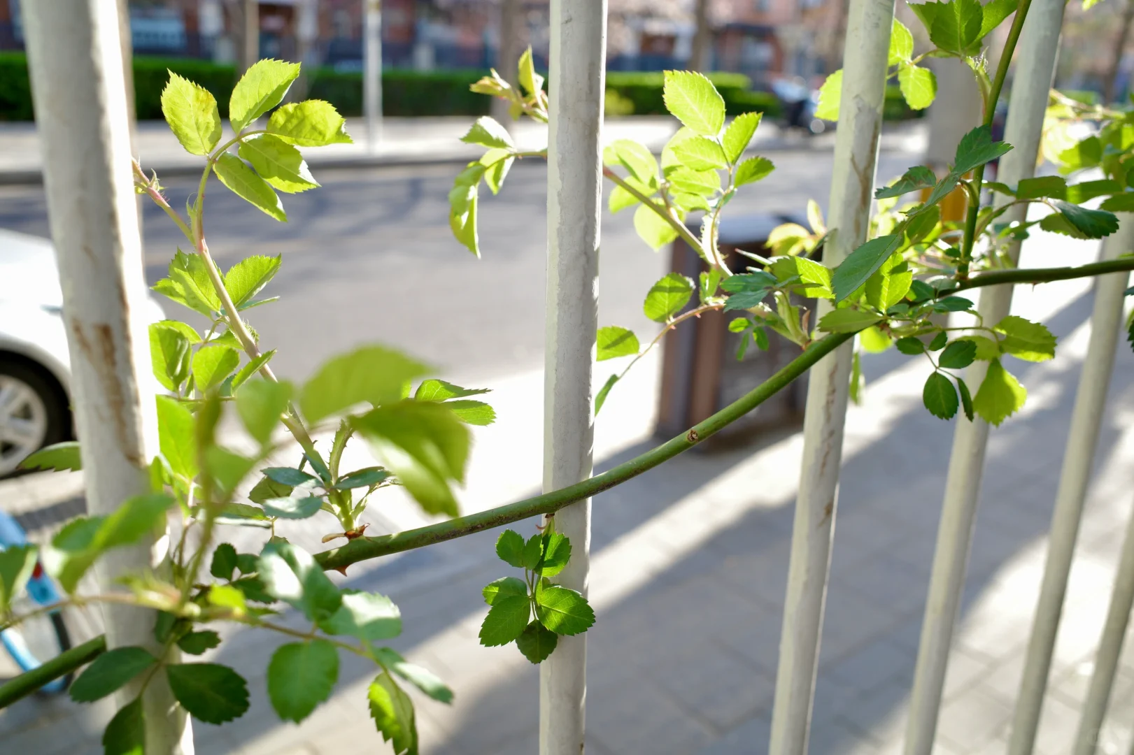 看电影真幸福！