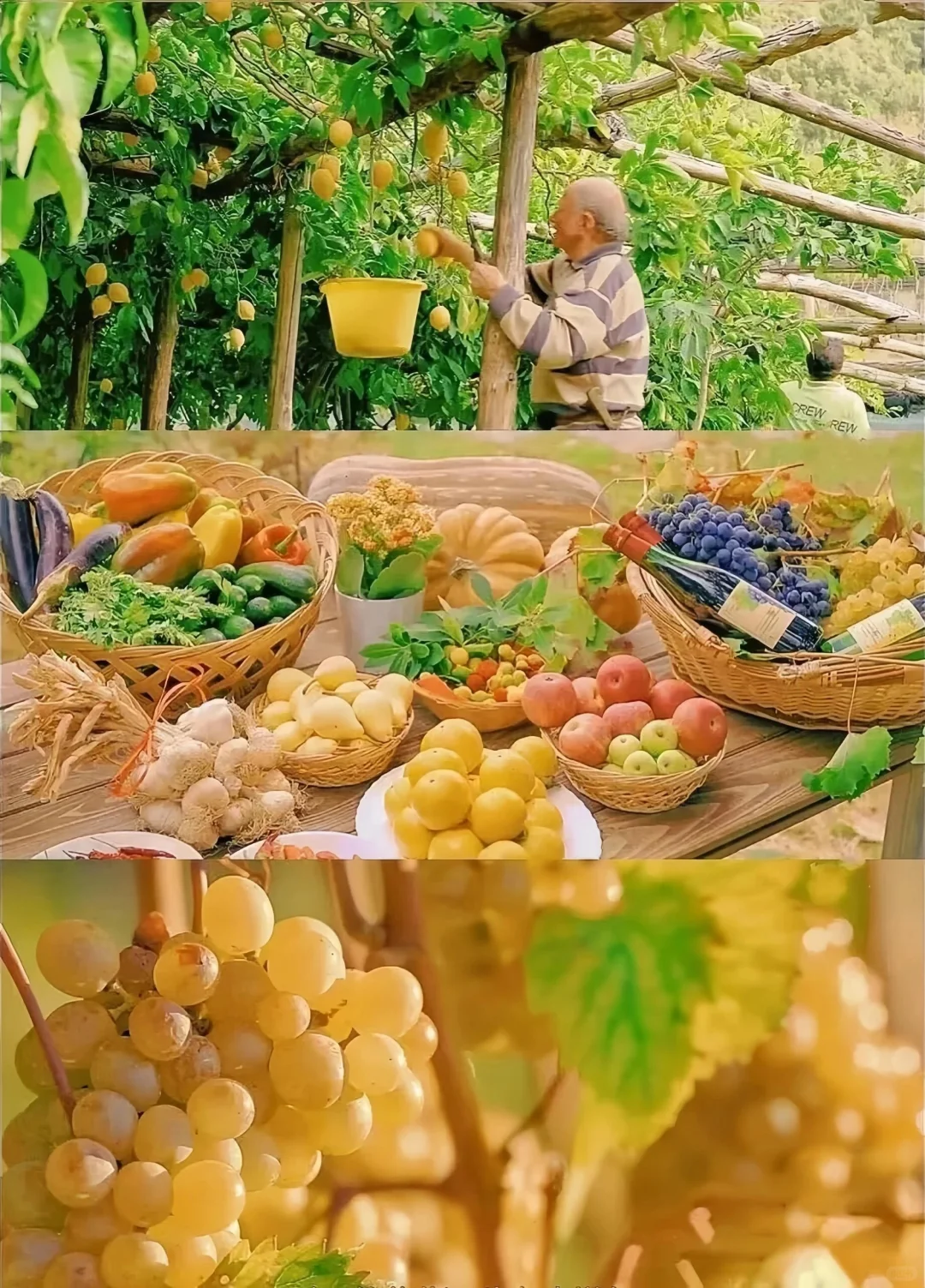 这是我见过最美的电影❗没有之一